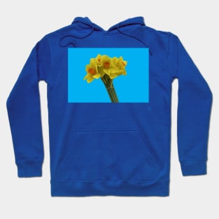 Yellow Flowers Hoodie